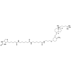 25-Hydroxy Vitamin D3 3-LC-LC-Biotin