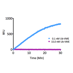 Kinetic Activity: UCHL3 (SBB-DE0023) activity with Ubiquitin-AMC (SBB-PS0043) measured in the presence of 15.0nM and 0.1nM Ubiquitin vinyl methyl ester (SBB-PS0033).