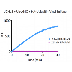 HA-Ubiquitin-vinyl sulfone (human) (rec.) (HA)