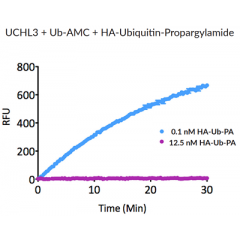 HA-Ubiquitin-propargylamide (human) (rec.) (HA)