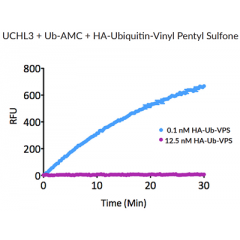 HA-Ubiquitin-vinyl pentyl sulfone (human) (rec.) (HA)