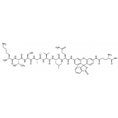 KTSAVLQ-Rhodamine110-γ-Glu