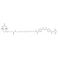 ChromaLink Biotin (DMF Soluble)
