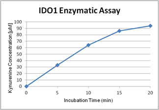 Activity assay figure of IDO (human) (rec.) (His) (highly active) (AG-40B-0161). IDO (human) has been tested with a protocol using catalase (see our website). The specific activity has been calculated to be >100?000U/mg protein with L-tryptophan as substr