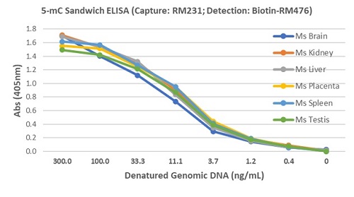 Detection of 5-Methylcytosine in mouse different tissues genomic DNA. Sandwich ELISA using anti-5-Methylcytosine (clone RM231) as the capture antibody (50ng/well at 1ug/mL), and biotinylated anti-Adenine and Guanine (clone RM476) as the detection antibody (0.2ug/mL), followed by an AP-conjugated streptavidin.