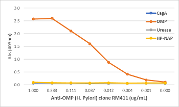 An ELISA of Helicobacter Pylori proteins using Anti-OMP Rabbit Monoclonal Antibody Clone RM410. The plate was coated with 1 ug/mL of CagA, OMP, Urease, or HP-NAP of H. Pylori. A serial dilution of RM410 was used as the primary antibody. An alkaline phosph