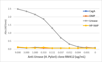 An ELISA of Helicobacter Pylori proteins using Anti-OMP Rabbit Monoclonal Antibody Clone RM411. The plate was coated with 1 ug/mL of CagA, OMP, Urease, or HP-NAP of H. Pylori. A serial dilution of RM411 was used as the primary antibody. An alkaline phosph