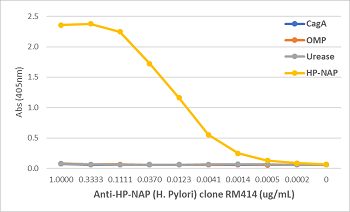 An ELISA of Helicobacter Pylori proteins using Anti-HP-NAP Rabbit Monoclonal Antibody Clone RM413. The plate was coated with 1 ug/mL of CagA, OMP, Urease, or HP-NAP of H. Pylori. A serial dilution of RM413 was used as the primary antibody. An alkaline pho