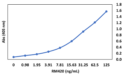 anti-SARS-CoV-2 Nucleocapsid, Rabbit Monoclonal (RM420)