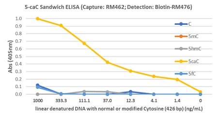 Detection of 5-Carboxylcytosine (5-caC), in linear denatured DNA (426 bp). Sandwich ELISA using anti-Carboxylcytosine (5-caC) (clone RM462) as the capture antibody (50ng/well at 1ug/mL), and biotinylated anti-Adenine and Guanine (clone RM476) as the detection antibody (0.2ug/mL), followed by an AP conjugated streptavidin.