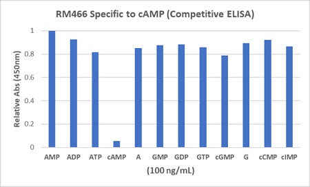 Competitive ELISA showing the specificity of anti-cAMP (RM466). The 96-well plate was coated with 1 ug/mL of Goat anti-rabbit IgG (50 ?l/well). 0.05 ?g/ml of anti-cAMP (RM466) (50 ?l/well) was added and incubated. After wash and block, cAMP and other cyclic nucleotides or nucleoside phosphates (25 ?l/well) were added along with 25 ?l/well of 1/5,000 diluted HRP conjugated cAMP. TMB was used to develop the color after incubation and wash.