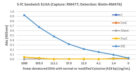 Detection of 5-Formylcytosines (5-fC) in linear denatured DNA (426 bp). Sandwich ELISA using anti-Formylcytosines (5-fC) (clone RM477) as the capture antibody (50ng/well at 1ug/mL), and biotinylated anti-Adenine and Guanine (clone RM476) as the detection antibody (0.2ug/mL), followed by an AP conjugated streptavidin.