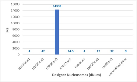 Luminex of Designer Nucleosomes (dNucs) (Recombinant Human Nucleosome with H3 monomethylated Lysine 36, dimethylated Lysine 36, trimethylated Lys 36, and H3 Lys 27, H3 Lys4, H4 Lys20, H4Lys9 Tri-Methylation), using anti-H3K36me3 rabbit monoclonal antibody RM491.
