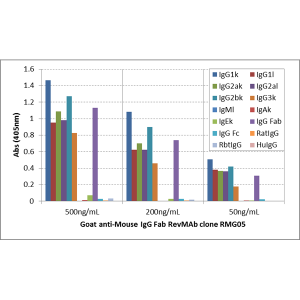 ELISA of IgGs from different species shows RMG03 reacts to rabbit IgG; no cross reactivity with human IgG, rat IgG, or mouse IgG. The plate was coated with 50ng/well of different IgG. 500 ng/mL, 200 ng/mL, or 50ng/mL of RMG03 was used as the primary antib