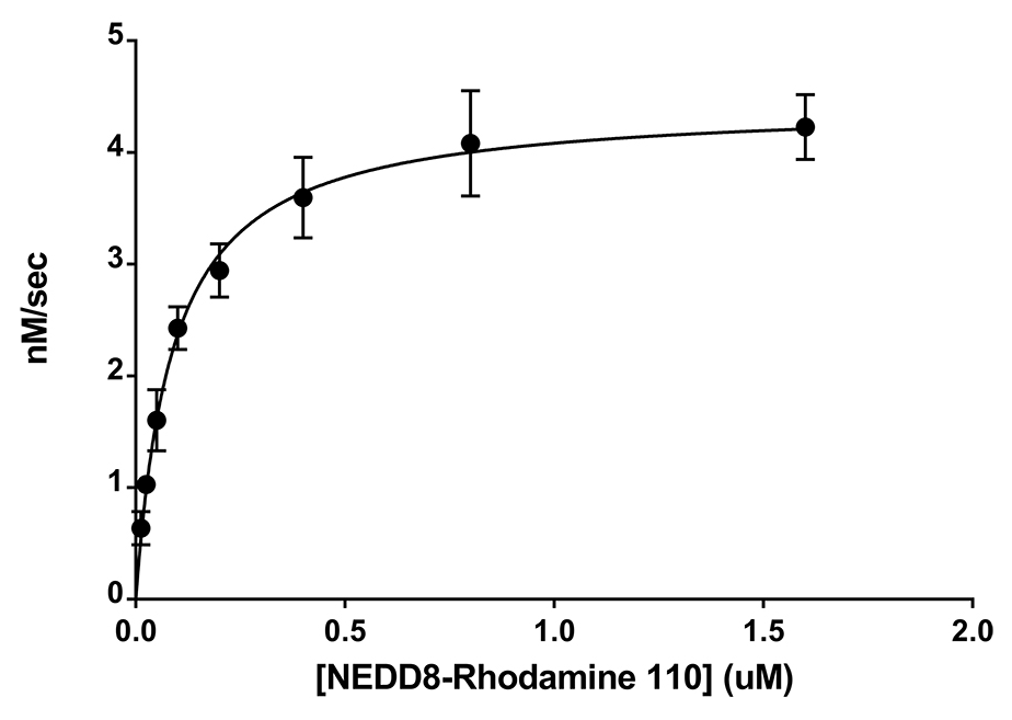 Michaelis?Menten Kinetics: NEDD8 Rhodamine 110 serially diluted from 1.6 to 0.0125?M was digested with 30pM NEDP1 over time. The assay was carried out in a reaction buffer of 50mM HEPES pH 7.5, 1mM TCEP, 0.1 mg/ml BSA, at 25?C. Initial velocities a