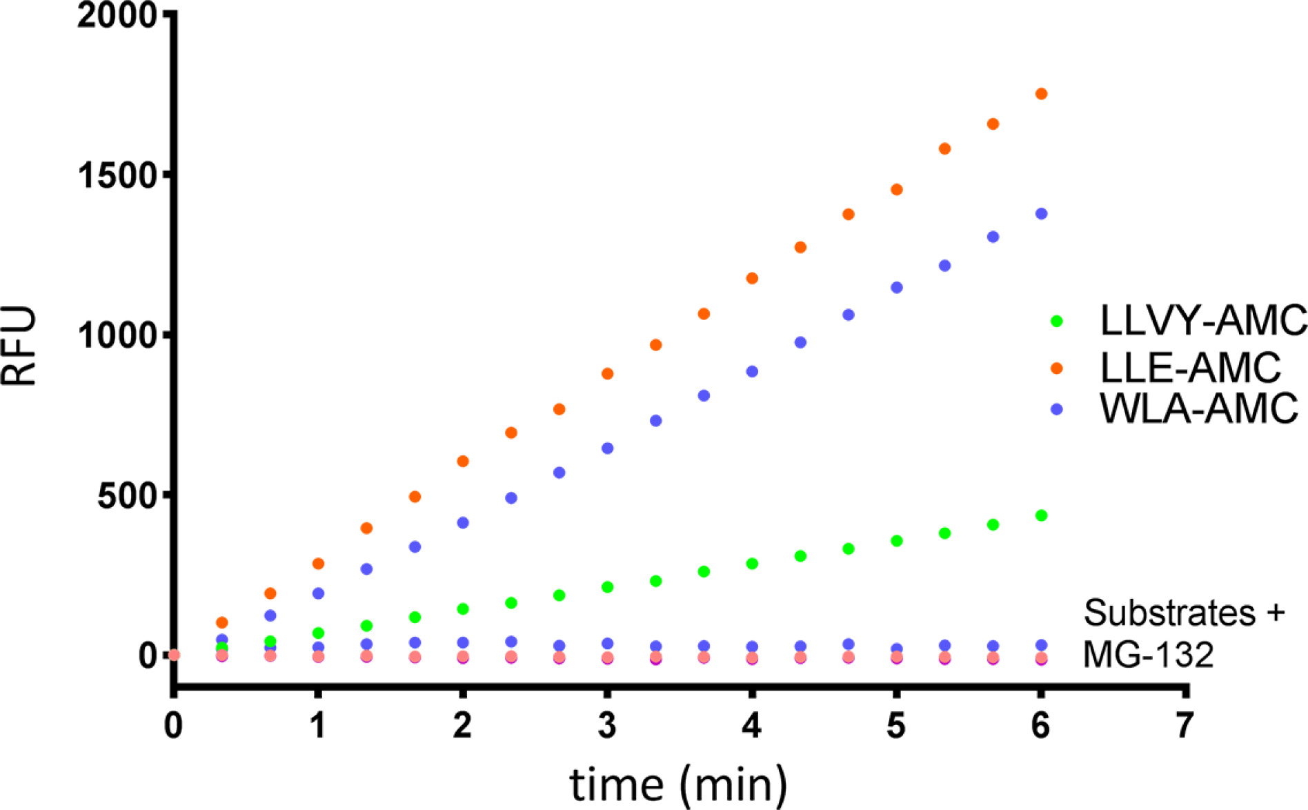 20S Proteasome Activity Raw Data Output: Several wells of Proteasome shown digesting LLVY, WLA, and LLE-AMC over time +/- 1x (40microM) inhibitor (MG-132).