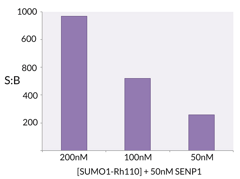 Signal to Background: The signal to background ratio was determined by 100% hydrolysis of 200nM, 100nM, 50nM SUMO1-Rhodamine 110 to liberate the quenched conjugate. Assay Buffer: 50mM HEPES pH 7.5, 1mM TCEP, 0.1mg/ml BSA.