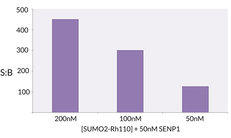 Signal to Background: The signal to background ratio was determined by 100% hydrolysis of 200nM, 100nM, 50nM SUMO2-Rhodamine 110 to liberate the quenched conjugate. Assay Buffer: 50mM HEPES pH 7.5, 1mM TCEP, 0.1mg/ml BSA.