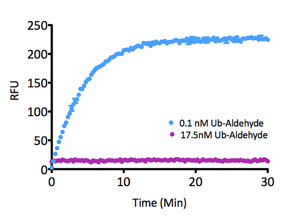Kinetic Activity: UCHL3 (SBB-DE0023) activity with Ubiquitin-AMC (SBB-PS0043) measured in the presence of 17.5nM and 0.1nM Ubiquitin Aldehyde (SBB-PS0031).