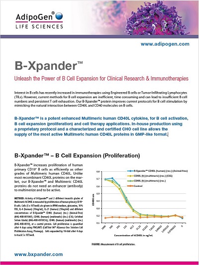 B-Xpander Product Flyer 2024