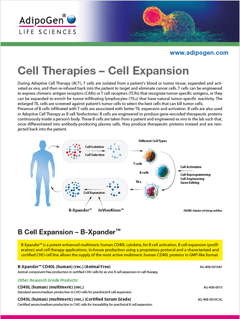 Cell Therapy Product Flyer 2025