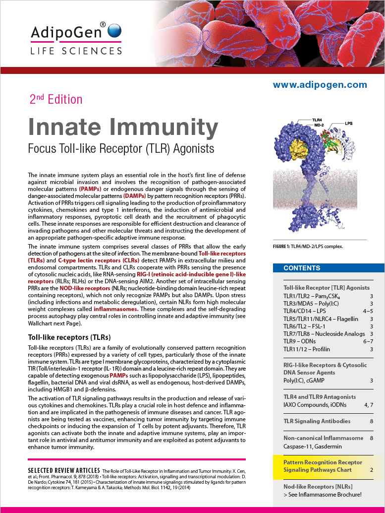 Innate Immunity Flyer 2019