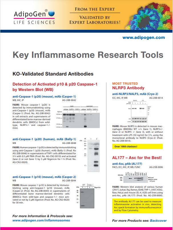 Key Inflammasome Research Tool Flyer 2022