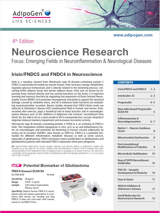 Neuroscience Research Brochure 2022