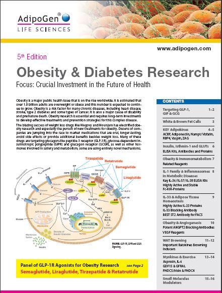 Obesity & Diabetes Brochure 2023