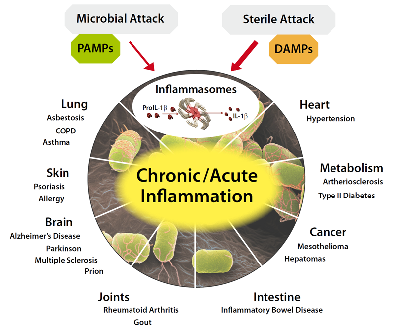 Inflammasomes - Therapeutic Implications