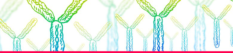 Antibody Validation Banner