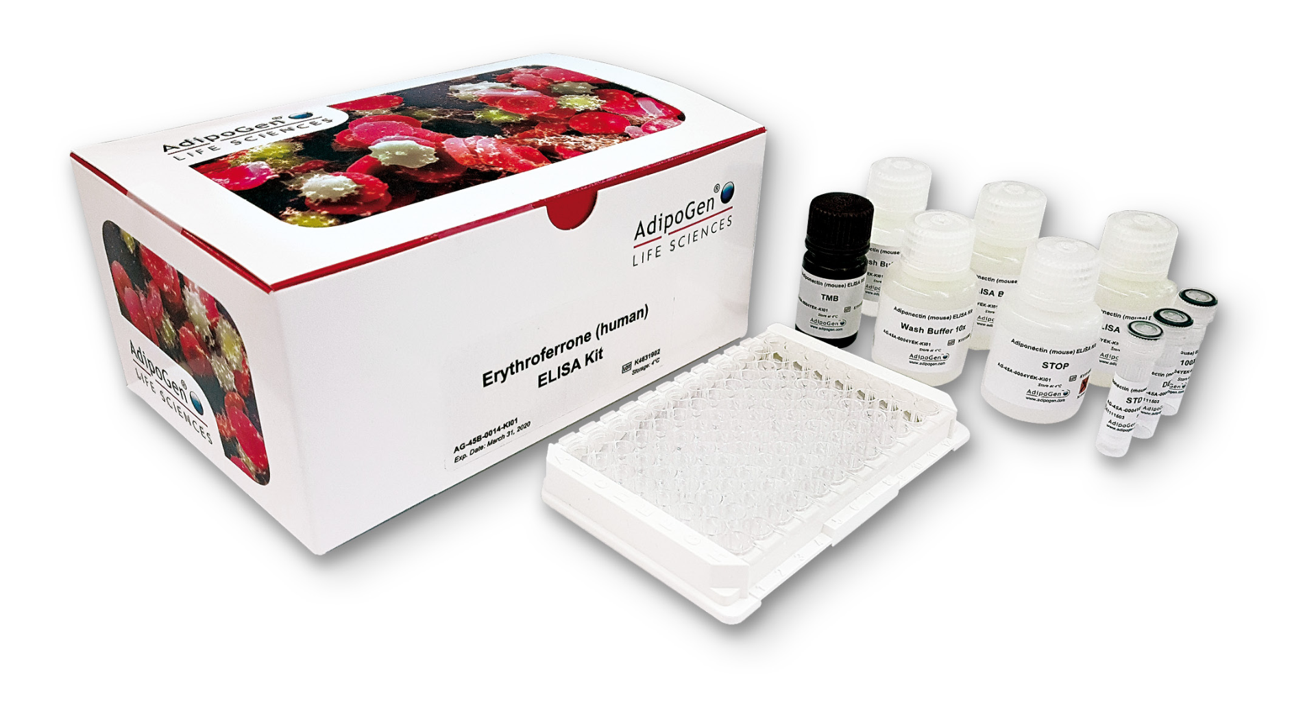 Erythroferrone (human) ELISA Kit