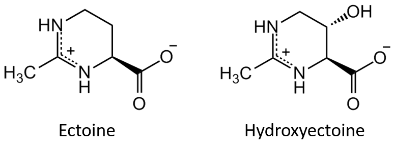Chemcial Strucutres of Ectoine and Hydroxyectoine