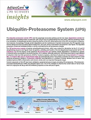 Ubiquitin Proteasome System Flyer