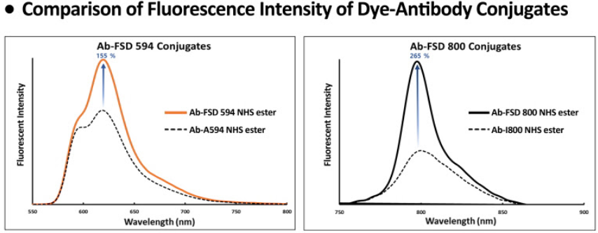 FSD Dyes Fluorescence Intensiyt of Antibody-Dye Conjugates