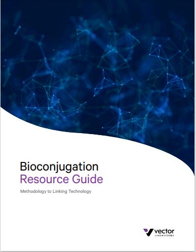 Bioconjugation Guide