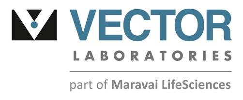 Vector Laboratories Logo